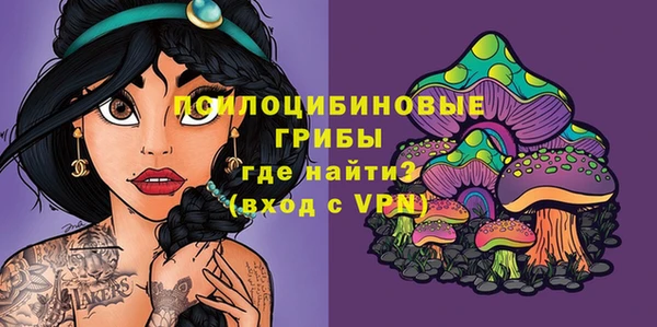 2c-b Надым