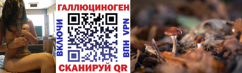 kraken ССЫЛКА  Шарыпово  Галлюциногенные грибы GOLDEN TEACHER 